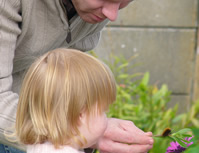 Family garden